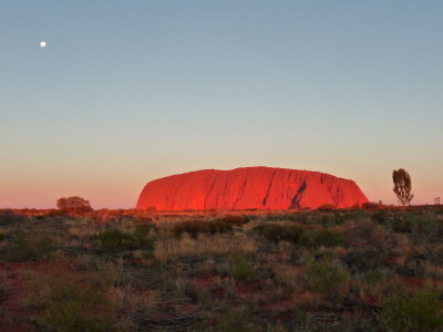 Outback138.jpg