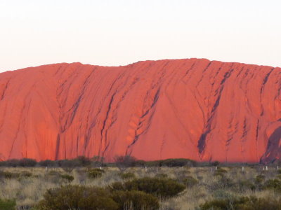 Outback151.jpg