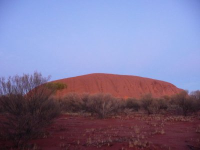 Outback182.jpg
