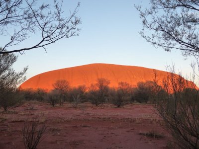 Outback209.jpg