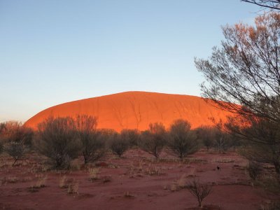 Outback210.jpg