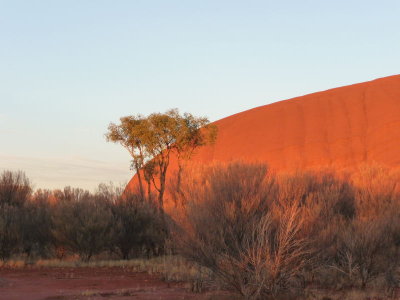 Outback213.jpg