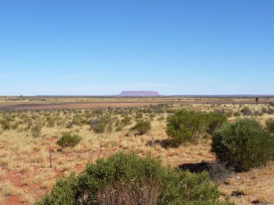 Outback297.jpg