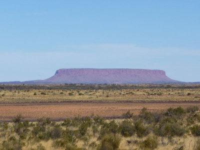 Outback298.jpg