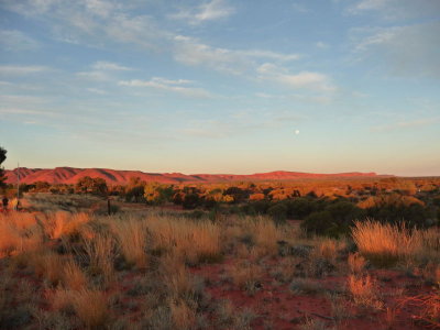 Outback307.jpg