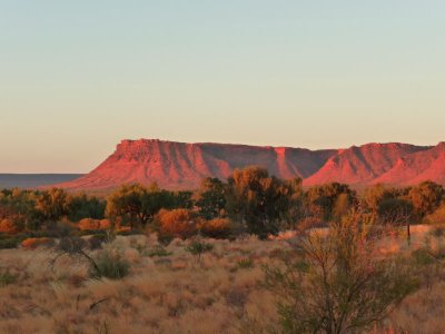 Outback309.jpg