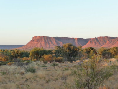 Outback310.jpg