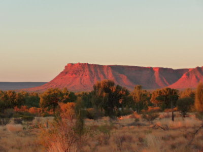 Outback312.jpg