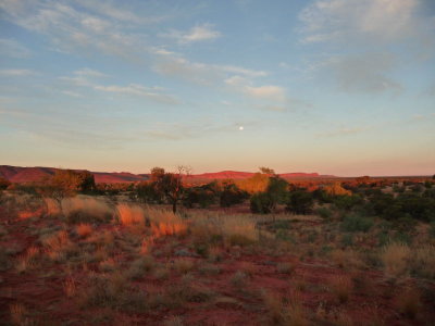 Outback316.jpg