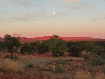 Outback322.jpg