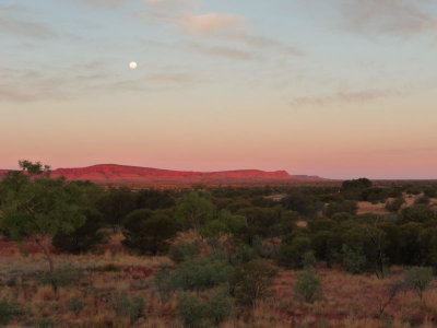 Outback324.jpg