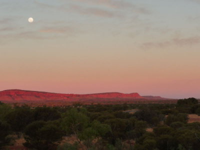 Outback325.jpg