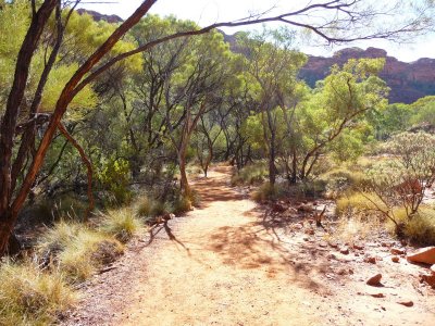Outback378.jpg