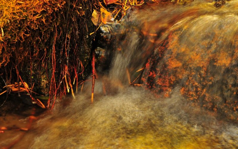 Warm Colors in Lee Vining Canyon