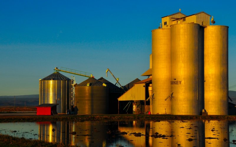 Rice Silos