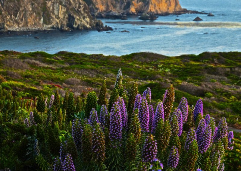 On the Central Coast