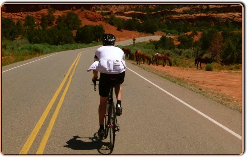 More Locals in the Chuska Mountains