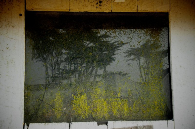 Reflection in a Barn Window