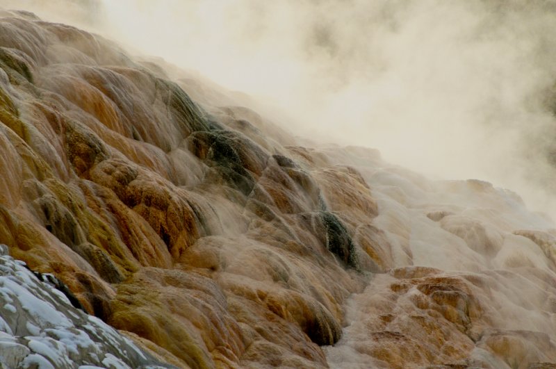 At Mammoth Hot Springs