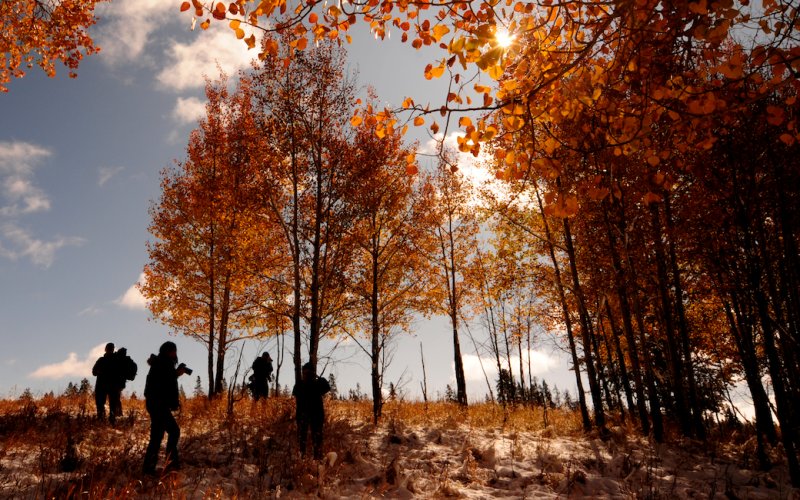 The Photographers - Oxbow Bend