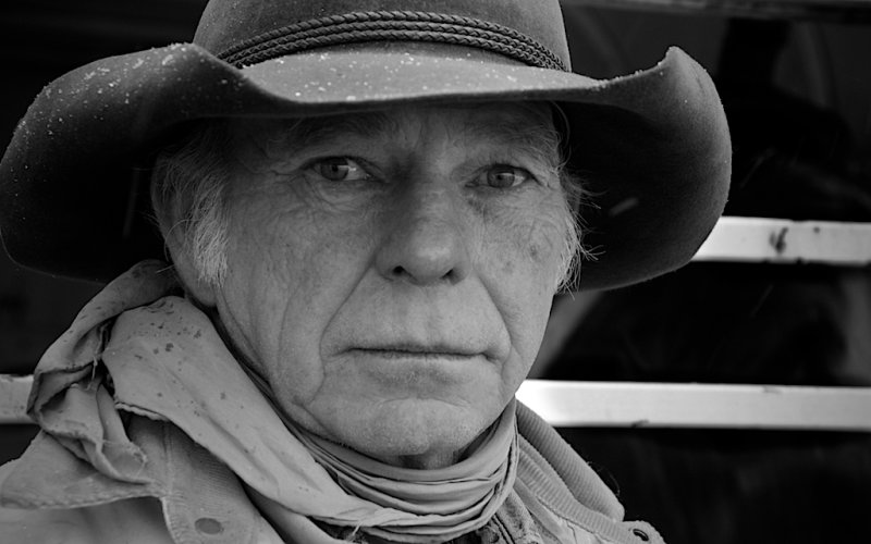 A Cowboy - Alpine, Wyoming