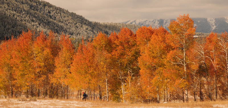 Autumn Comes to the Tetons