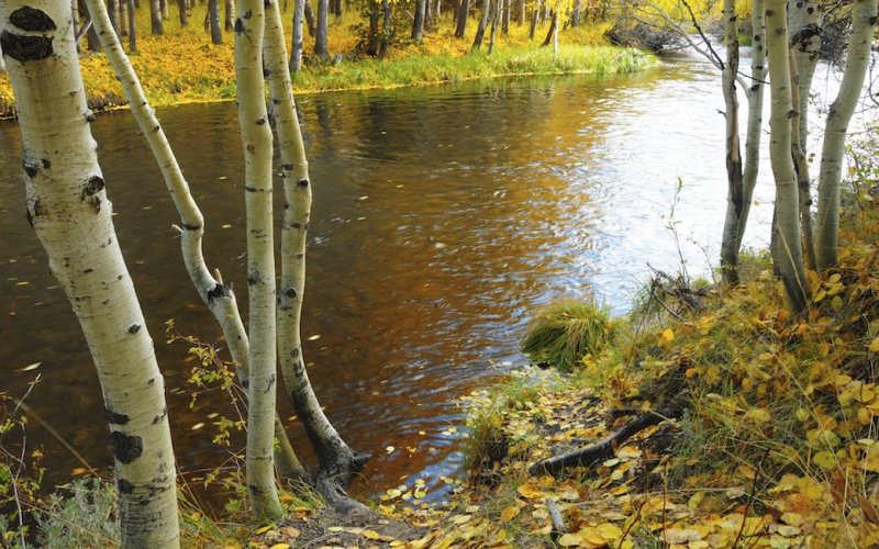Quiet Landscape