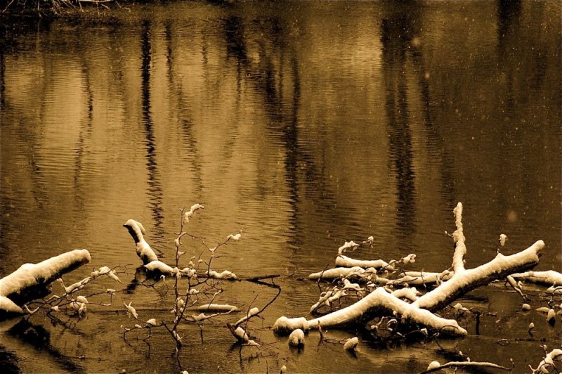 Merced River, Yosemite Valley