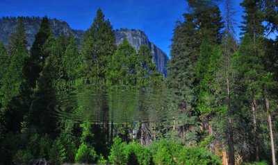 Flipped Reflection in the Merced River