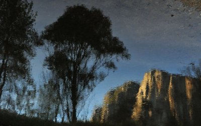 Mered River - Flipped Reflection