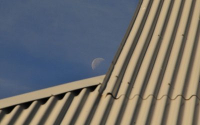 Roof and Moon, Foresta