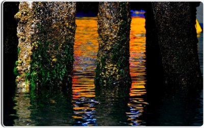 Pilings and Reflections, Monterey
