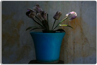 Vase and Flowers, Garden of Memories Cemetery, Salinas