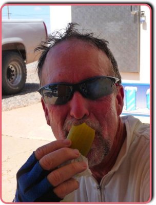 I Am Revivified with a Navajo Pickle
