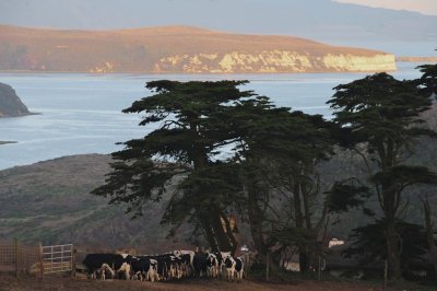 Landscapes and Seascapes at Point Reyes