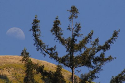 Moonrise Over Pfeiffer Big Sur State Park