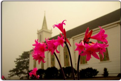 Naked Ladies at St. Teresa's Church!