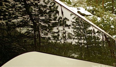 Bus Window Reflection, Wawona Tunnel View