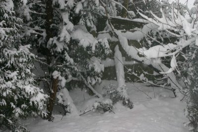 2009 Snow