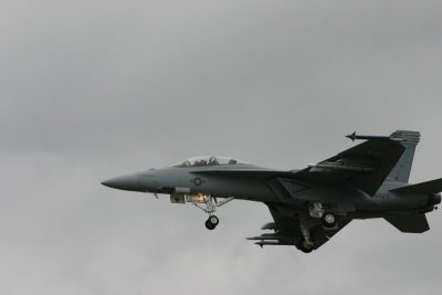 F-18 Hornet