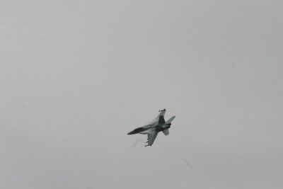 166923 & 166924 F-18 Hornet 140.JPG