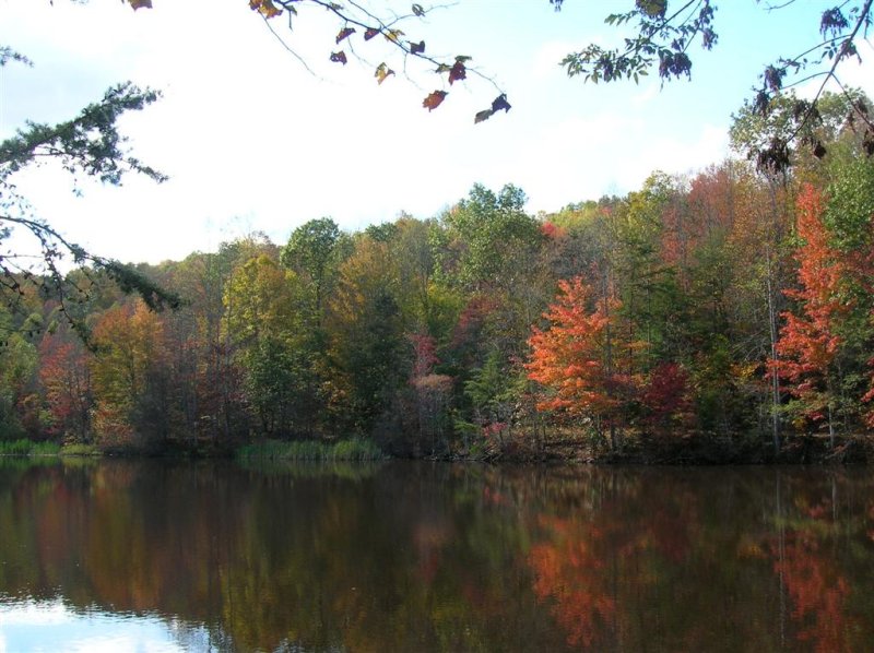 Beaver Pond