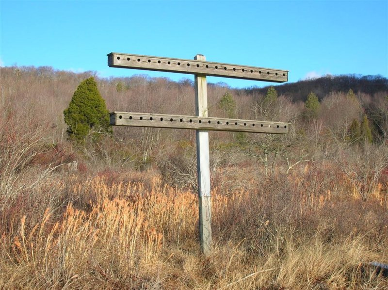 Bird Houses Along Lake