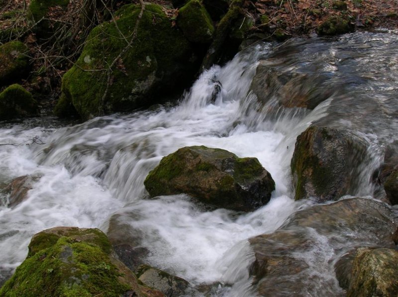 Peaceful Brook