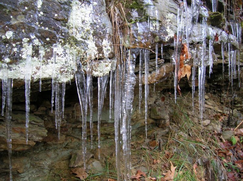 Frozen Spring