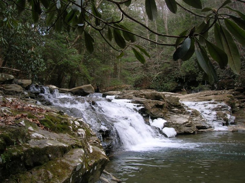 Tumbling Brook