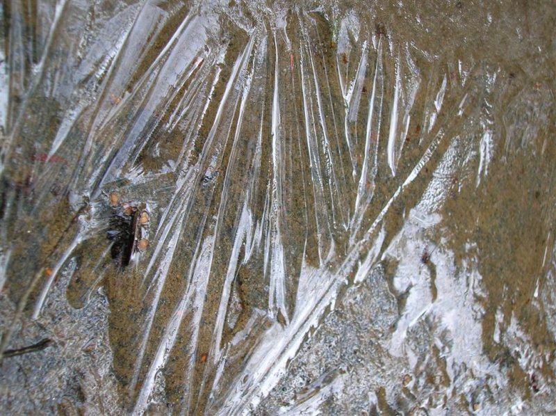 Cellophane Crystals