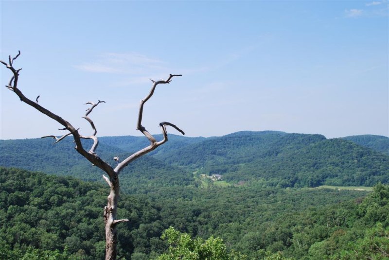 Vultures Roost