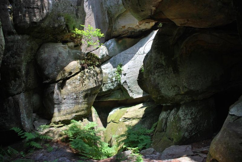 Sun-dappled Grotto