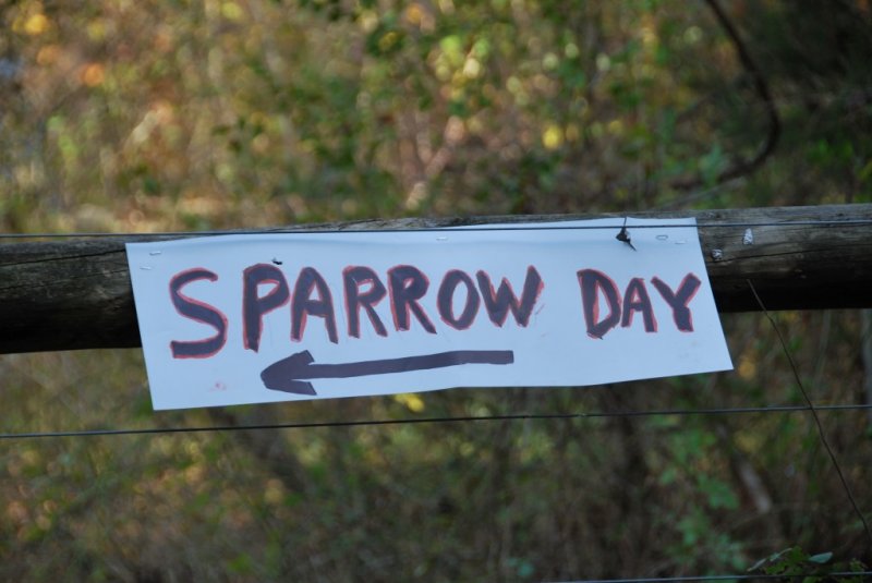 8th Annual BCBC Sparrow Day - October 23, 2010